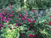 Private guest house-minutes away from Portland, Nike and many more! Hotels near Timberland Town Center