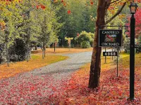 Whidbey Island Orchard House Estate Langley, WA