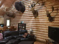 Log Home Guest House