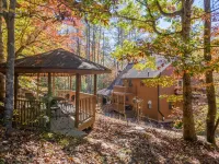 Hiking and Waterfalls at Bartram Trail Acres Chalet Hotel in zona Bartram Trail: Wallace Branch to William's Pulpit