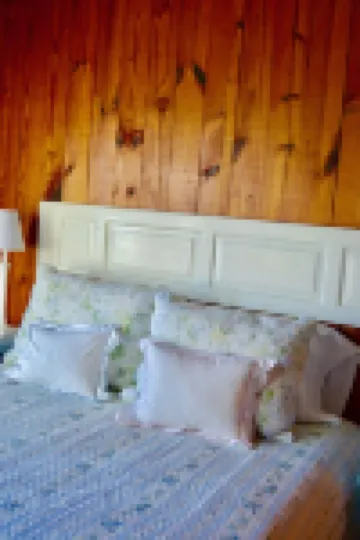 Waterfront Cottage On Candy Point:  Family-Friendly and Dog-Friendly!