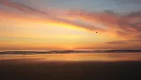 Fully Renovated, Affordable, Beachy 2Br Retreat, 2 Pools, Walk to Beach! - Wi-Fi