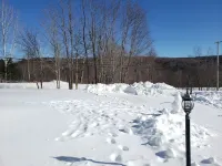 200 Year old updated Farmhouse on 12 acres - near Berkshire East Mountain Resort Hotels in Franklin County