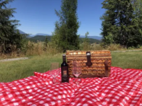 Mountain Cabin! Private Hot Tub! Amazing Views!