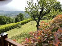 Bellavista