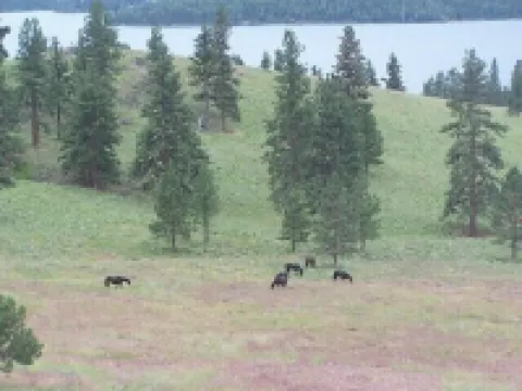 Waterfront Flathead Lake Home(not condo)~ Decks~ Dock~Quiet Neighborhood