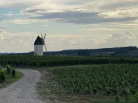 Gîte au Calme Sans Vis-à-vis Avec Grande Piscine Privative
