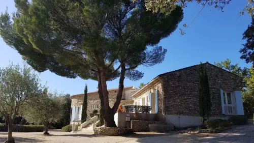 STUDIO in the middle of the vineyards facing the Ventoux - for 2 adults and 2 children.