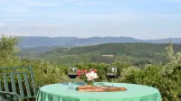 RELAX BETWEEN OLIVES AND WINEYARDS, NEAR FLORENCE