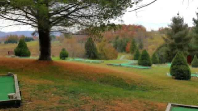 Rest Assured in Black Bear Resort-Hike, Ski, Swim, Bike, Pickleball, and Relax!