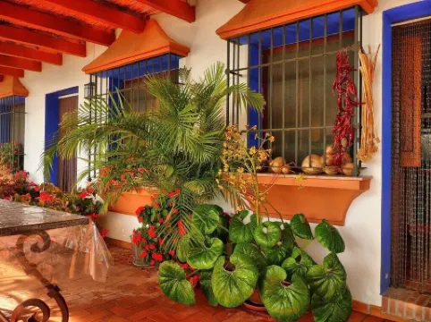 Stylish Andalusian country house with pool in olive grove facing the sea