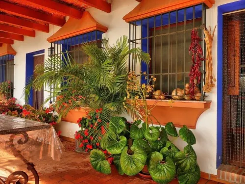 Stylish Andalusian country house with pool in olive grove facing the sea 阿爾姆尼卡住宿飯店