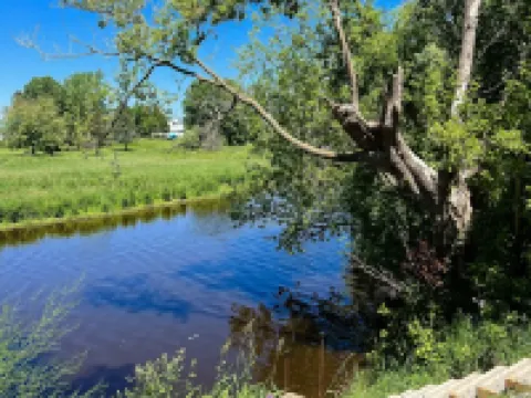 Waterfront 2 BR Lower-level w/ grill & kayaks アルゴマのホテル