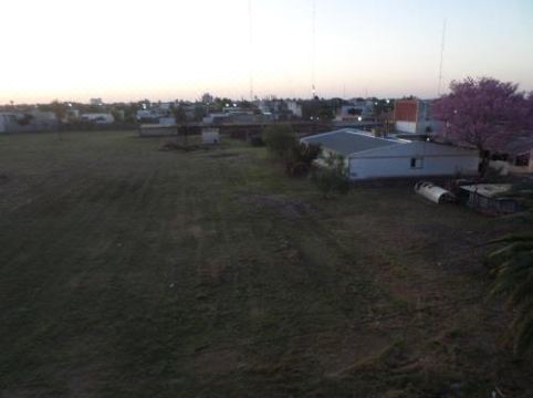 EL JACARANDÁ - Housity