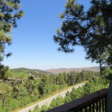 Enjoy The Views From This Lead Home Close To ATV/snowmobile trails and skiing