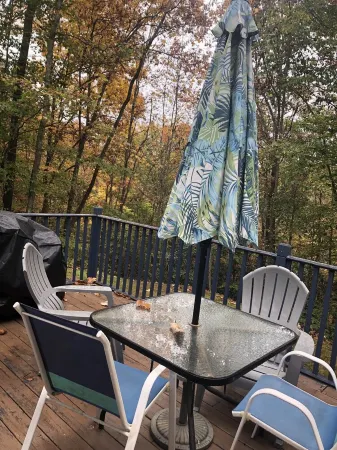 Dog friendly Sylva NC Mountain Retreat<br>Near WCU and downtown