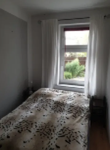 2 Zimmer-wohnung am Landesmuseum für Vorgeschichte