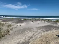 Family Friendly - 1/2 Block To Beach - 4 BR 3 Bath - Driveway Parking!