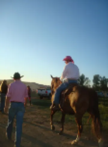 Just Horsin' Around!