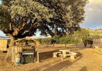 Les Chalets de Tesa Hotels in Lama