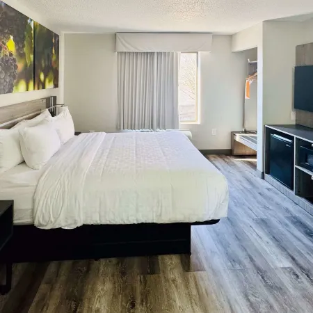 Clarion Pointe Albemarle