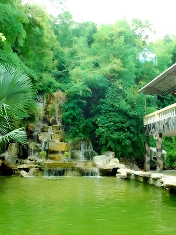 รูปภาพของRaikhruewan Resort Muaklek ไร่เครือวัลย์ รีสอร์ท มวกเหล็ก
