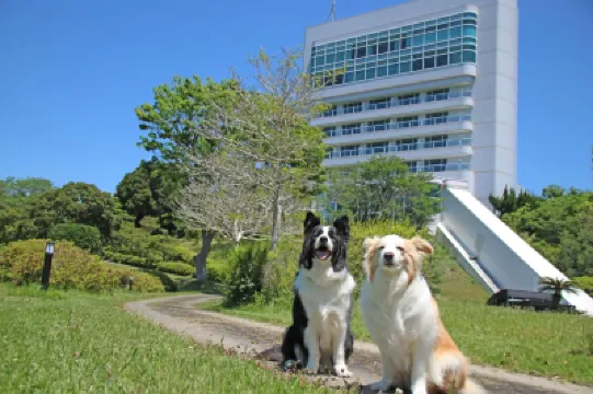 Nanki Shirahama Wan Wan Paradise Hotel Hotels in 