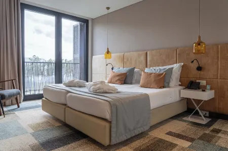 Pena Park Hotel Отели в г. Мондин-ди-Башту