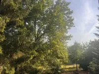 NEW - Exclusive hideaway on Lake Plessow Hotels in Werder