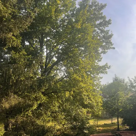 NEW - Exclusive hideaway on Lake Plessow