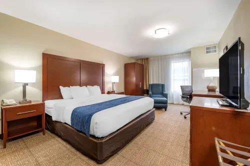 Comfort Inn & Suites Northern Kentucky Hotels in Campbell County