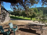 Pine Rest Cabins Hotels near Black Hills National Forest