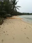 Yasawa Long Beach Hideout Resort - bar