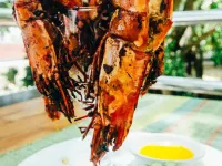 Anda Pearl Premier Resort Hotels in Anda