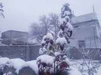 New Gojal Hotel and Restaurant