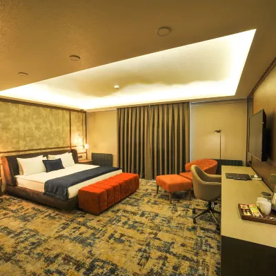 The Alpfine Hotel 安卡拉塔附近的飯店