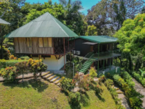 Tabulia Tree โรงแรมใน