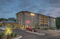 Hampton Inn Gatlinburg Historic Nature Trail Отели в г. Гатлинберг