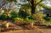 The Howell House - Picturesque Countryside Retreat فنادق في Oktibbeha County