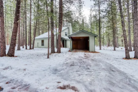 Family-Friendly Forest Hideaway with EVC, Bikes, & SHARC Passes - Walk to Park