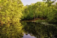 Cozy Glamping Dome PERFECT for couples near Brimstone and Big South Fork