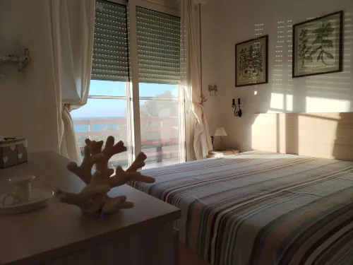 A Vacation That Becomes a Dream