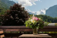 Jungfrau Hotel Annex Alpine-Inn - Mountain view