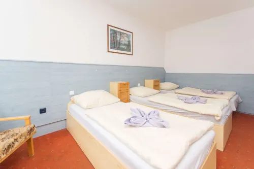 Sport Hotel Gejzirpark