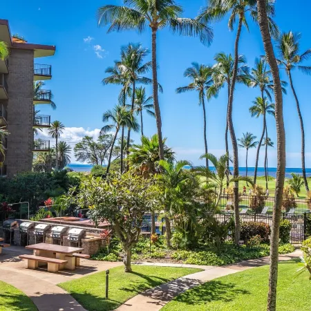 Sea-Rene & Tropical Vistas