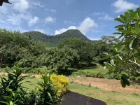 Piman Pu - Ocean View