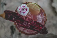 ワカス ハシエンダ - セノーテ & ブティック ホテル - スモール ラグジュアリー ホテルズ オブ ザ ワールド