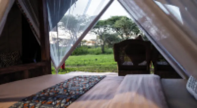 Africa Safari South Serengeti