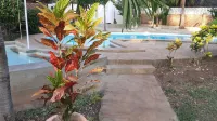 Black Pearl - Luxury Villa with Private Pool - Near Beach - Beach