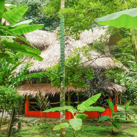 Casa Moabi